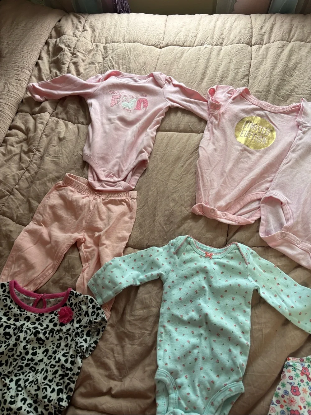 Baby Girls Mixed One-Piece Bodysuit Set - Pink, Green, Cream, Mint